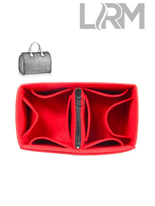 Louis Vuitton Bag Organizer Style 02