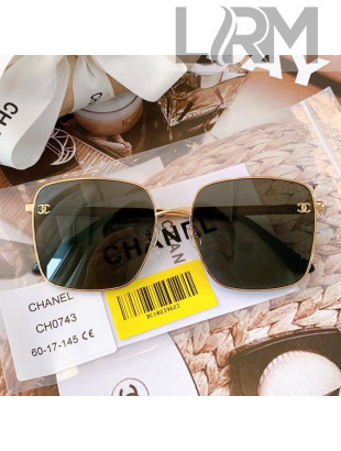 Chanel Sunglasses CH0743 2022 06