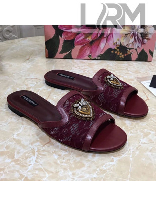 Dolce&Gabbana DG Lace Flat Slide Sandals Burgundy 2021