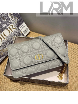 Dior Caro Belt Pouch with Chain in Grey Supple Cannage Calfskin 2021