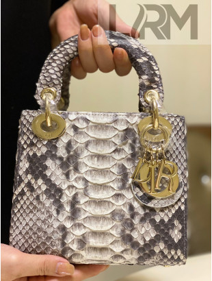 Dior Mini Lady Dior Bag in Python Leather Grey 2021