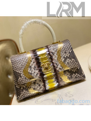 Chanel Python & Lambskin Leather Small Flap Bag With Top Handle A93050 Gold 01 2020