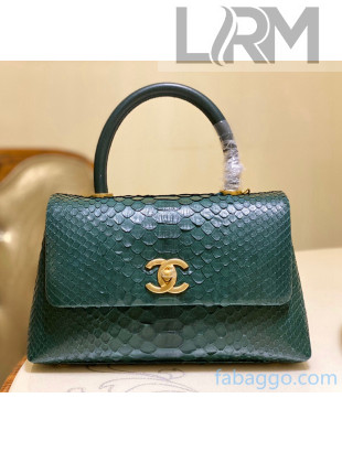 Chanel Python & Lambskin Leather Flap Bag With Top Handle A93050 Green 2020