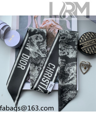 Dior Bandeau Scarf in Toile de Jouy Reverse Twilly Silk 6x106cm Grey 2021