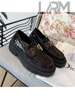 Dior x Shawn Explorer Platform Loafers in Crocodile Embossed Leather Dark Brown 03 2020