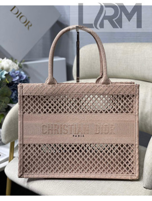 Dior Small Book Tote Bag in Light Pink Mesh Embroidery 2020