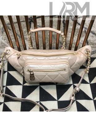 Chanel Iridescent Grained Calfskin Waist Bag/Belt Bag AS0556 Light Beige 2019