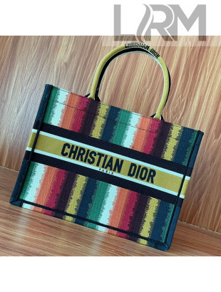 Dior Small Book Tote Bag in Multicolor D-Stripes Embroidery 2021