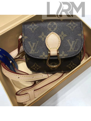 Louis Vuitton Monogram Canvas Small Vintage Flap Bag 