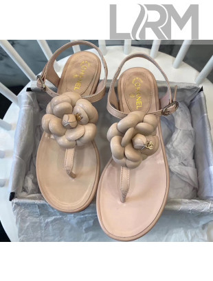 Chanel Lambskin Classic Camellia Thong Sandals Nude 2020