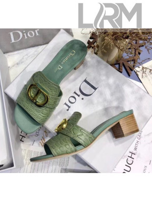 Dior 30 MONTAIGNE Heeled Slide Sandals in Crocodile Pattern Calfskin Light Green 2020