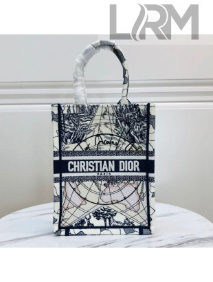 Dior Vertical Book Tote in Around the World Star Embroidery Blue/Multicolor 2020