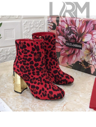 Dolce & Gabbana DG Leopard Print Heel 10.5cm Ankle Boots Red 2021