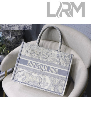 Dior Small Book Tote Bag in Light Blue Toile de Jouy Embroidery 2021