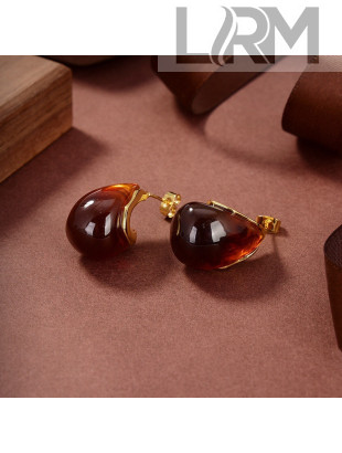 Bottega Veneta Earrings BVE2212113 Brown 2022