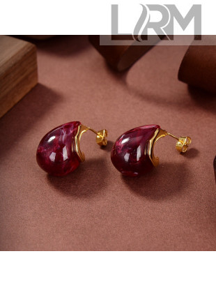 Bottega Veneta Earrings BVE2212112 Purple 2022