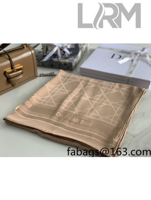 Dior Cannage Silk Scarf 70x200cm Beige 2021