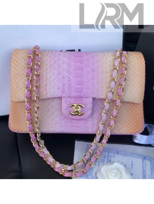 Chanel Python Leather Medium Classic Double Flap Bag 6