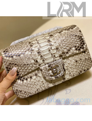 Chanel Python Leather Small Classic Flap Bag A1116 Grey/White 2020(Silver Hardware)