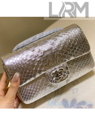 Chanel Python Leather Small Classic Flap Bag A1116 Silver 2020(silver Hardware)