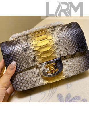 Chanel Python Leather Small Classic Flap Bag A1116 Grey/Gold 03 2020(Gold Hardware)
