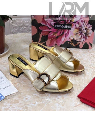 Dolce&Gabbana DG Heel Mules 6.5cm Gold 2021