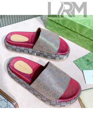 Gucci GG Canvas Platform Slide Sandal 573018 Grey 2021