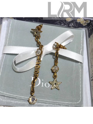 Dior Crystal Tassel Earrings 19 2020