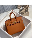 Hermes Birkin 25cm Bag in Togo Calfskin Brown/Gold 2022