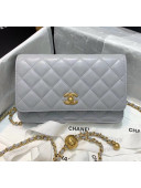 Chanel Metal Wallet on Chain WOC Bag AP1450 Grey 2020