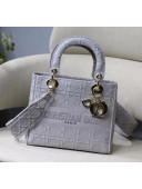 Dior Medium Lady D-Lite Embroidered Cannage Bag Grey 2020
