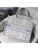 Dior Small Book Tote with Tiger Embroidery Grey 2020