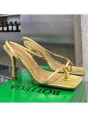 Bottega Veneta Stretch Lambskin Strap Sandals 9cm Gold 2021 01