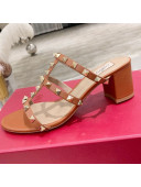 Valentino Rockstud Calfskin Slide Sandal 6cm Brown 2021