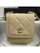 Chanel Quilted Lambskin Vertical Flap Bag AS1895 Beige 2020