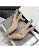 Dior J'Adior x Chiara Pumps 65mm Pink 2020