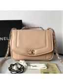 Chanel Lambskin Medium Flap Bag AS1178 Beige 2019