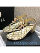 Chanel Laminated Lambskin Heel Thong Sandals G36402 Gold 2020