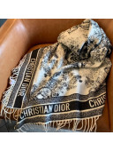 Dior Fierce Blanket in Black Toile de Jouy Cashmere and Wool 2020