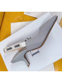 Dior J'Adior Slingback Pumps in Technical Fabric Grey 6.5cm Heel 2020 