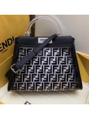 Fendi Transparent Peekaboo Regular Top Handle Bag Black 2019