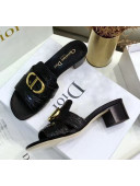 Dior 30 MONTAIGNE Heeled Slide Sandals in Crocodile Pattern Calfskin Black 2020