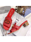 Dior 30 MONTAIGNE Heeled Slide Sandals in Crocodile Pattern Calfskin Red 2020