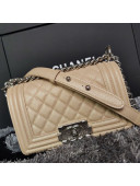 Chanel Iridescent Quilted Grained Leather Classic Small Boy Flap Bag Beige/Silver 2019