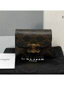Celine Triomphe Small Wallet Brown 2021 60030 