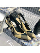 Dior J'Adior Slingback Pump in Check'N'Dior Embroidered Cotton with 6.5cm Heel Black/Beige 2021