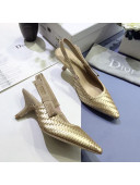 Dior J'Adior Slingback Mid-Heel Pumps in Braided Metallic Gold Lambskin 2020
