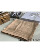 Dior Cannage Silk Scarf 70x200cm Beige 2021
