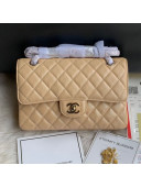 Chanel Small Classic Quilted Iridescent Grained Calfskin Flap Bag Nude 2019