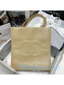 Chanel Shiny Aged Calfskin Vertical Shopping Bag AS1945 Apricot 2020